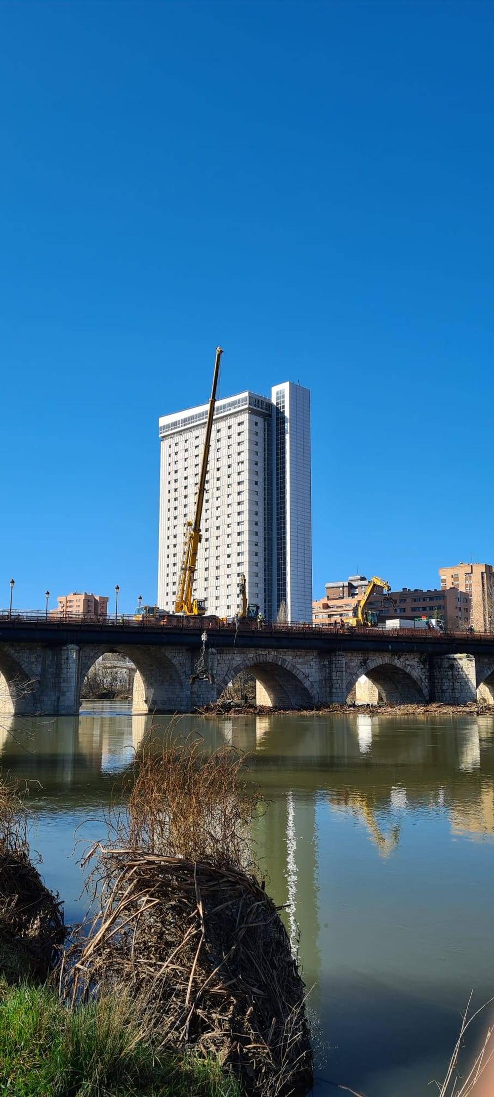 Limpieza de troncos en el Puente Mayor  / AYUNTAMIENTO DE VALLADOLID