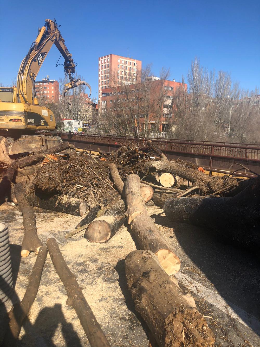 Limpieza de troncos en el Puente Mayor  / AYUNTAMIENTO DE VALLADOLID