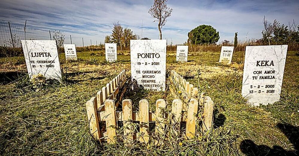 Varias tumbas en el cementerio para mascotas de Villabrágima.