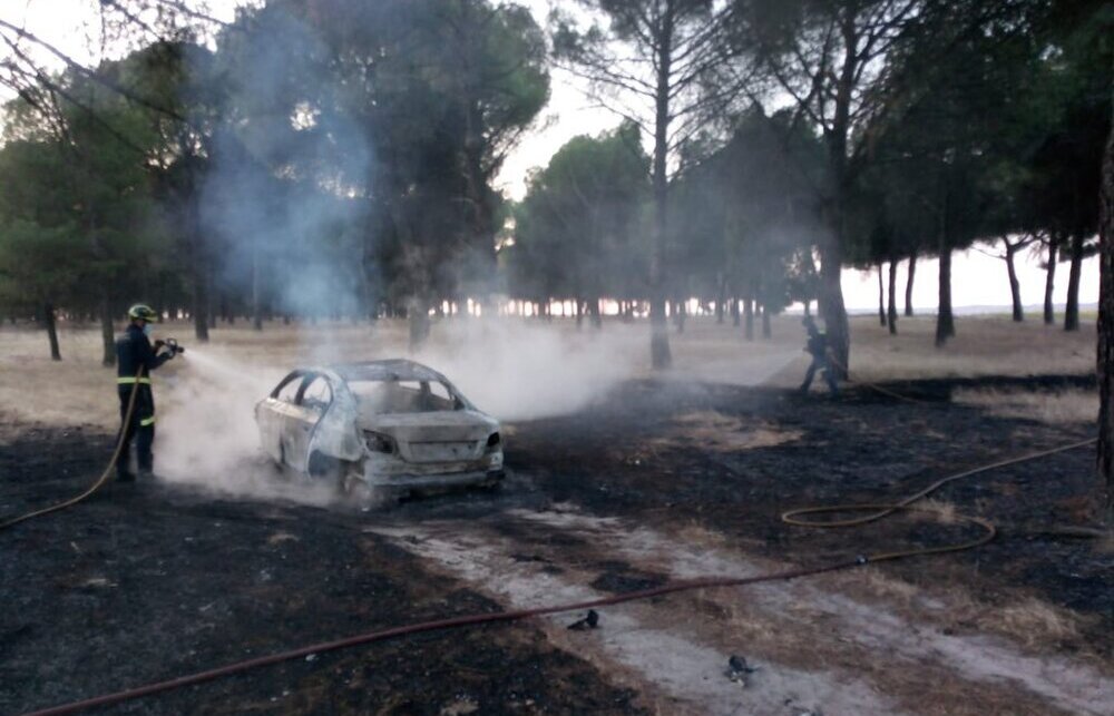 Los Bomberos de la Diputación sofocan el fuego en un BMW.