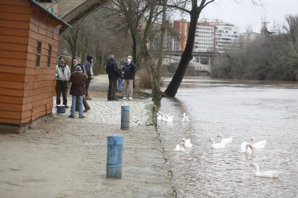 Crecida del río Pisuerga  / JONATHAN TAJES