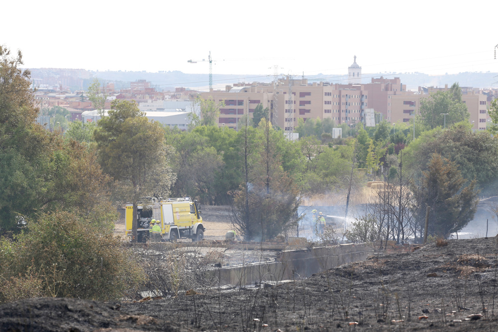 Incendio junto a la carretera de Renedo (Valladolid), entre la Ronda Este y la VA-30
