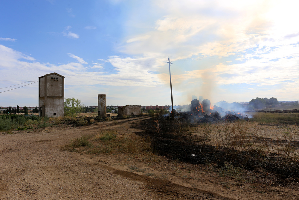 Incendio junto a la carretera de Renedo (Valladolid), entre la Ronda Este y la VA-30  / LETICIA PÉREZ / ICAL