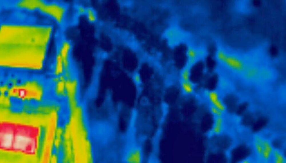 Imagen de 'calor' tomada por el dron de unos jóvenes en una merienda en Las Contiendas.