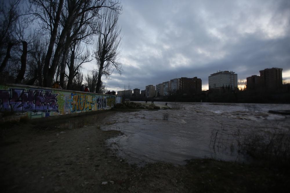 Crecida del río Pisuerga  / JONATHAN TAJES