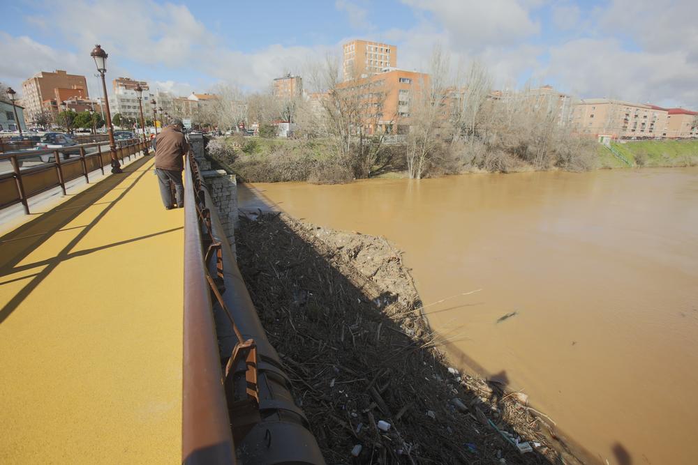 Crecida del río Pisuerga  / JONATHAN TAJES