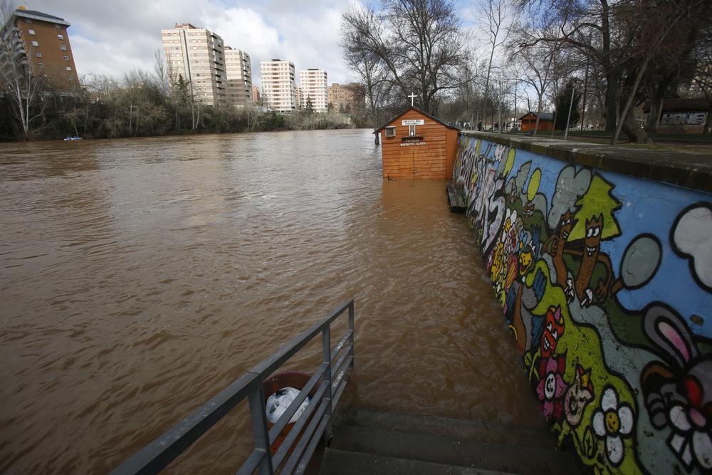 Crecida del río Pisuerga  / JONATHAN TAJES