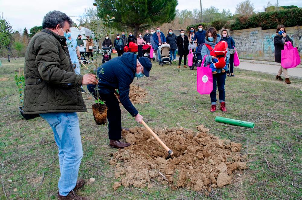 Uno de los participantes cava antes de plantar el árbol.