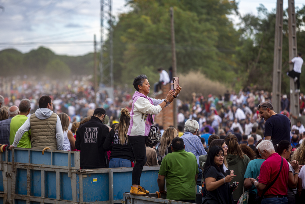 Encierro en Tordesillas en sustitución del Toro de la Vega  / JONATHAN TAJES