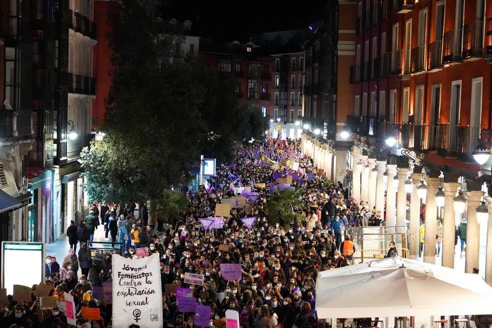 Manifestación del 8M en Valladolid.