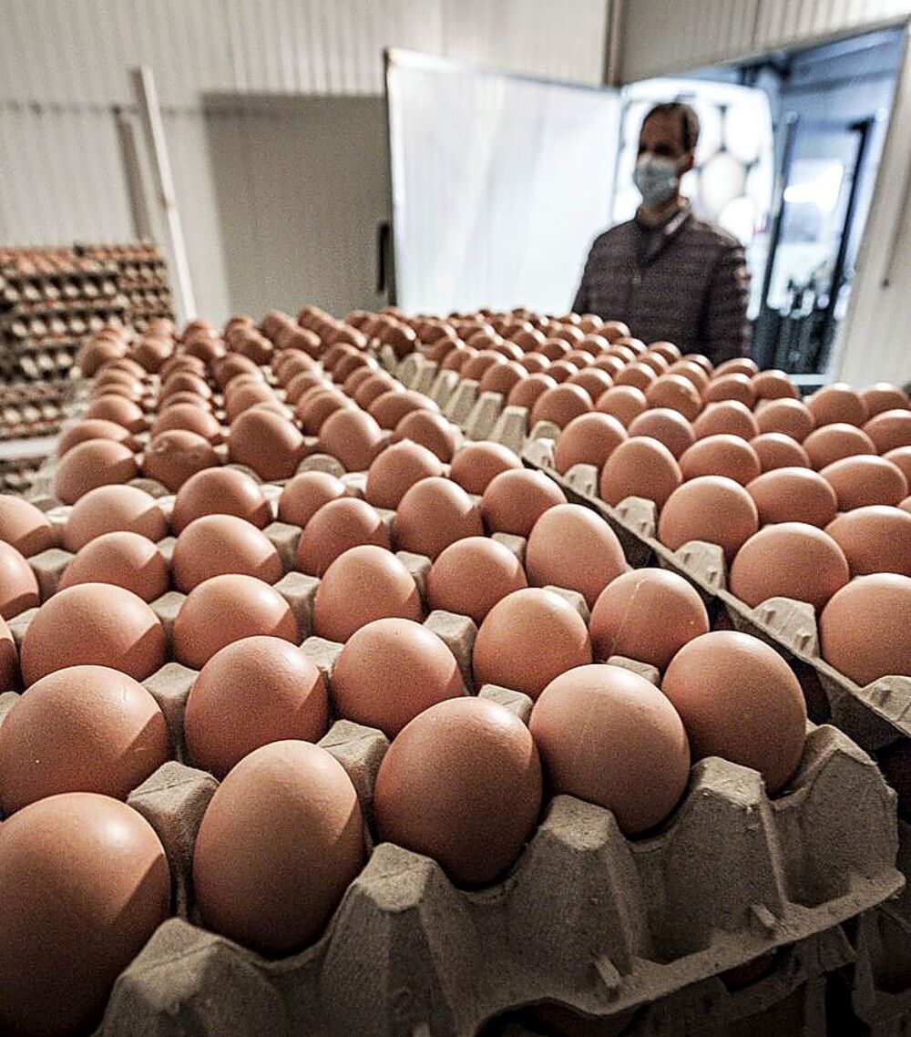 À 1 000 œufs par tête