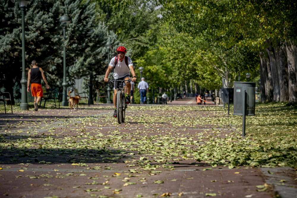 Parques y jardines llenos de hojas en la ciudad. 