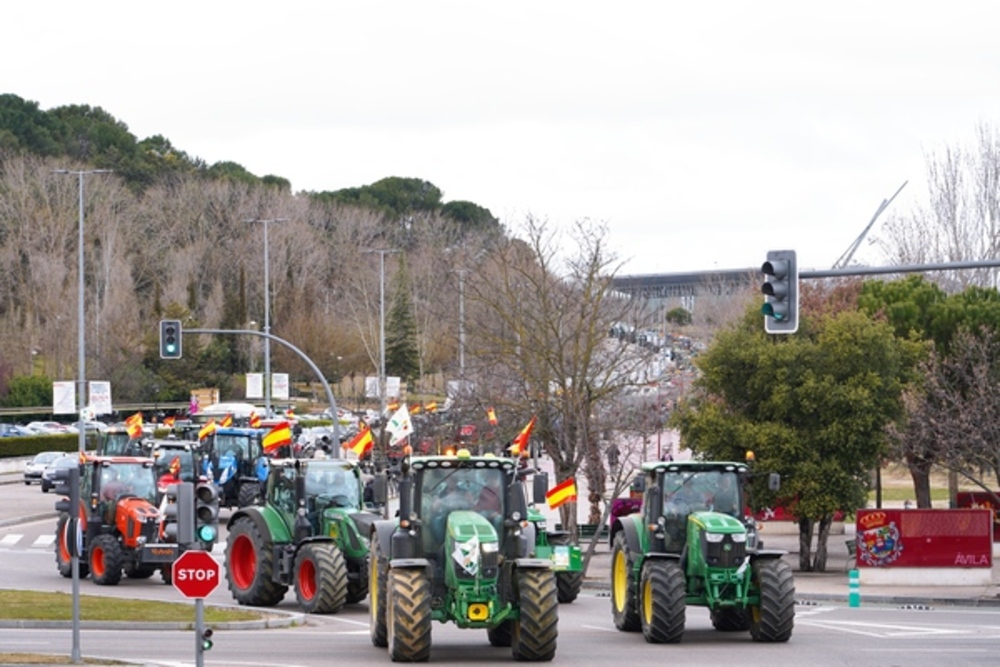 Asaja, UPA y COAG celebran una tractorada para pedir dignidad para el medio rural y unos precios justos  / ICAL.