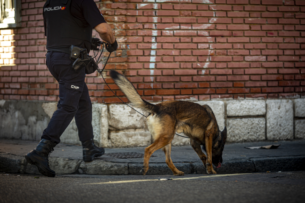 Operación antidroga en el número 8 de la Calle Duero del barrio de Las Viudas  / JONATHAN TAJES