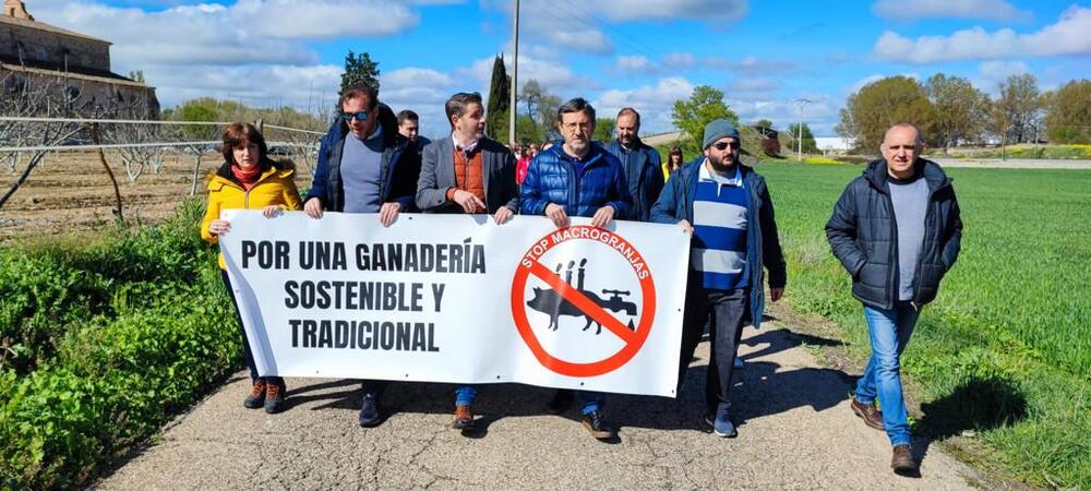 Marcha contra la macrogranja porcina de Corcos.  / El Día de Valladolid
