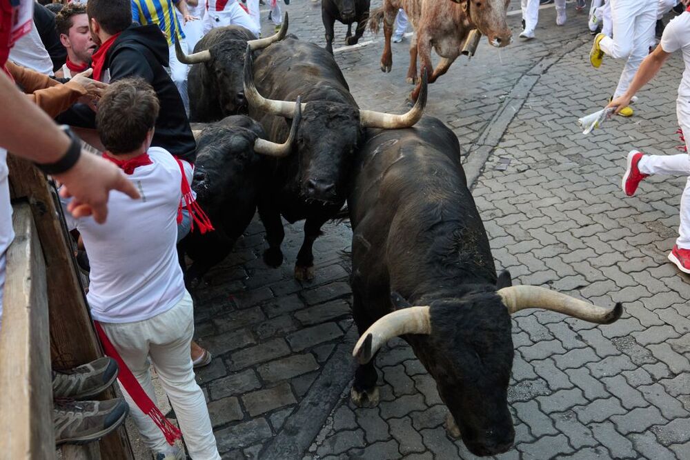 Segundo encierro de los Sanfermines 2022  / DANIEL FERNÁNDEZ