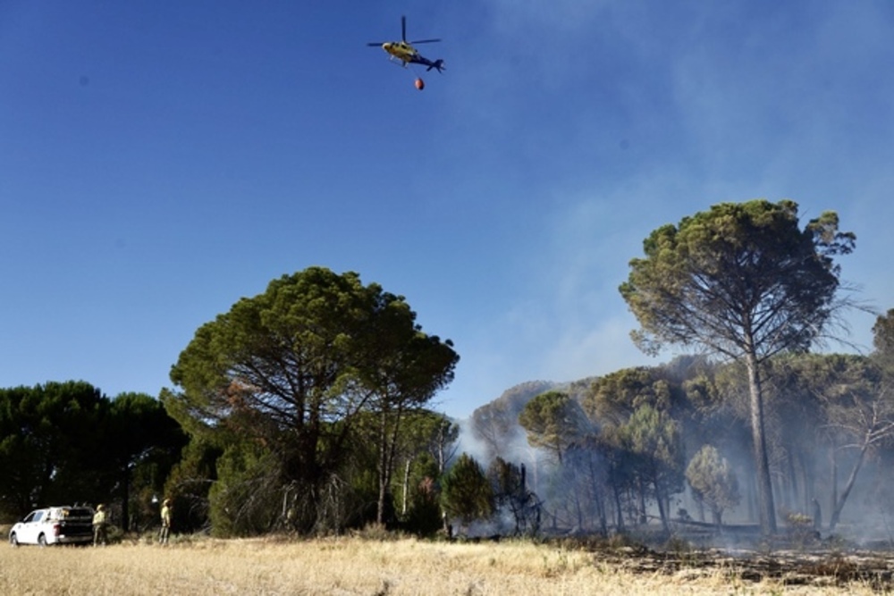 Medios aéreos y terrestres apagan un incendio en Aldeamayor de San Martín.  / ICAL