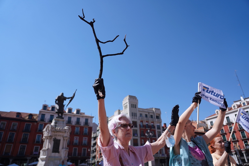 Imagen de la concentración de protesta en Valladolid para pedir soluciones a la situación de Zamora.
