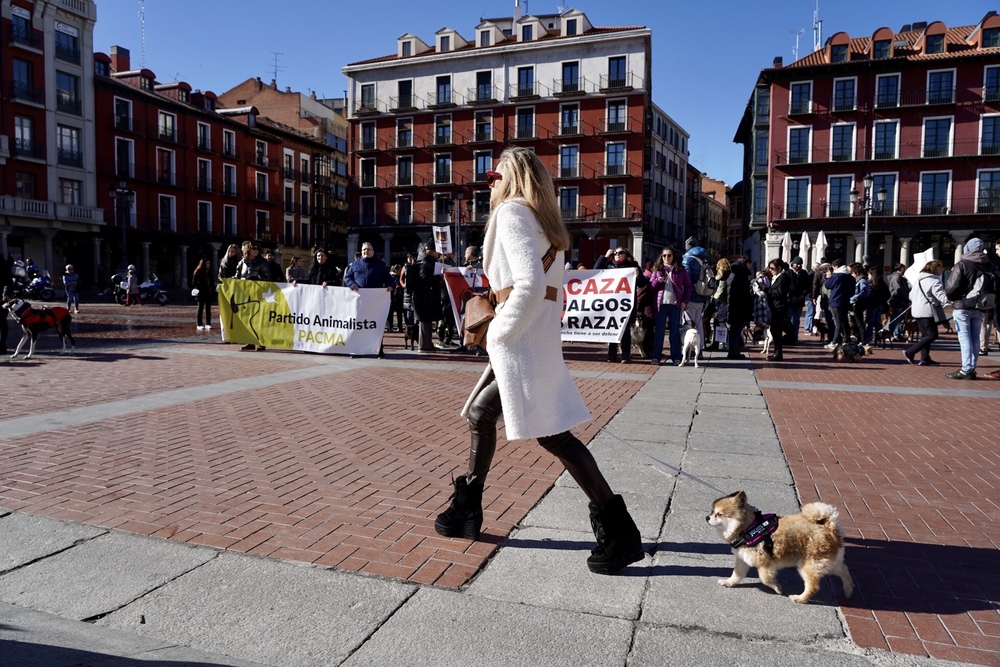 Manifestación de la plataforma 'No a la Caza' en Valladolid.  / LETICIA PREZ ICAL