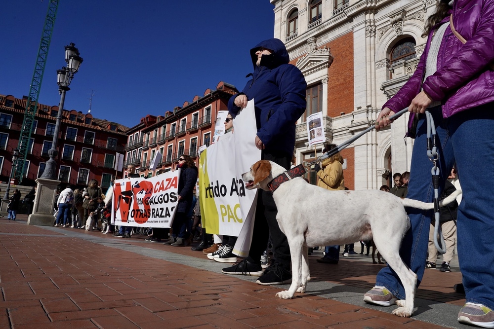 Manifestación de la plataforma 'No a la Caza' en Valladolid.  / LETICIA PREZ ICAL