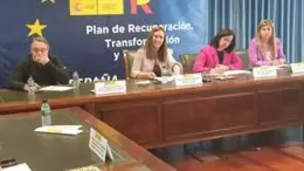 La delegada del Gobierno en Castilla y León, Virginia Barcones, en rueda de prensa