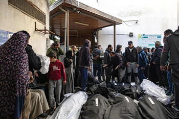 España auxilia a Gaza con paquetes de ayuda humanitaria