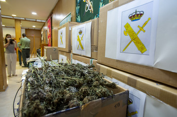 Pillan un laboratorio con 860 plantas de marihuana en Ávila