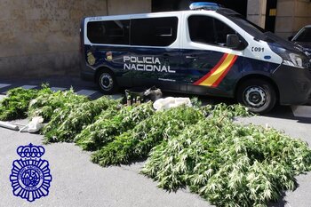 Detenido en Salamanca con 35 kilos de marihuana