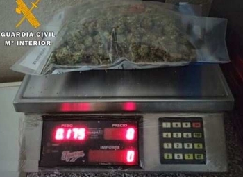 Desarticulado un punto de venta de marihuana en Tordesillas