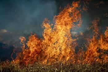 Asaja culpa a las políticas ambientalistas de los incendios