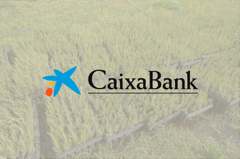 CaixaBank evoluciona su plan de gestión ambiental con nuevos compromisos