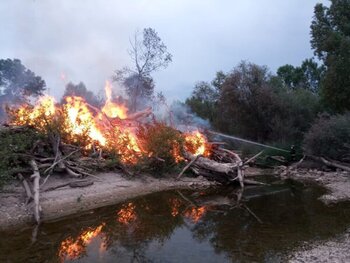 Los 99 incendios de este año arrasan casi 200 hectáreas