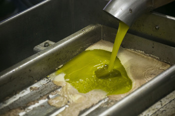 Oportunidad para el aceite de oliva en la industria