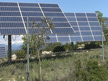 Empresas y administraciones apuestan por la energía solar