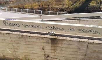 Denunciados 5 menores burgaleses por vandalismo en Valladolid