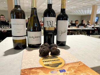 Los vinos de Valladolid triunfan en el Trufforum Nueva York
