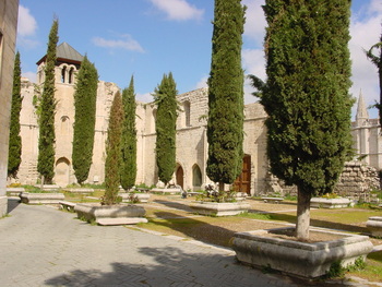 La Catedral abrirá al público el patio de los cipreses