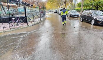 Una tubería rota corta el agua en el paseo del Renacimiento