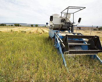 Agroseguro ha abonado ya 80,7 millones a los agricultores