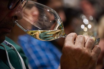 La DO Rueda entra en la Asociación de Vino con Origen de CyL