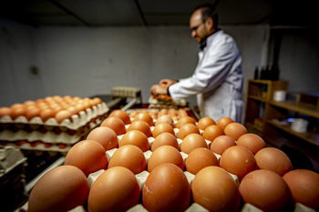 El mercado del huevo se tensiona por la gripe aviar