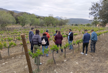 Educación anima a los centros a intercambios internacionales