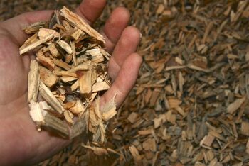 Un proyecto de biomasa en Olmedo recibirá 3,2 millones
