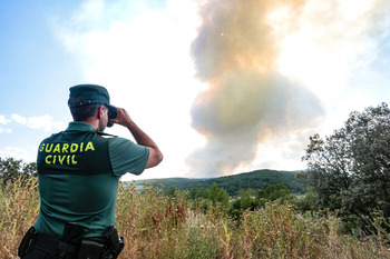 Los incendios forestales lideran los delitos medioambientales