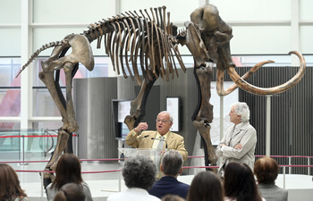 El MEH exhibe el esqueleto de un mamut hallado en Siberia