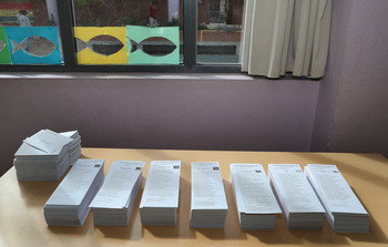 El Gobierno convoca elecciones en cinco municipios de CyL