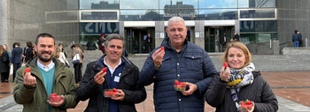 UPA repartirá 500 tarrinas de fresas en la plaza Zorrilla