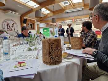 Tordesillas acoge los Premios Manojo con 413 vinos en concurso