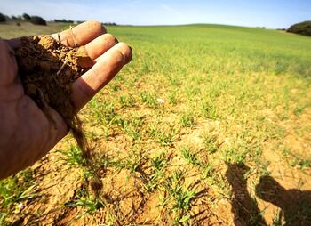 12.600 agricultores reciben 37,5M€ de la Junta por la sequía