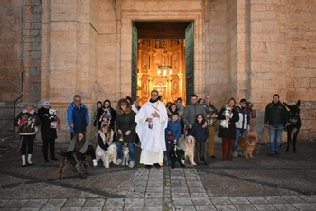 Cigales celebra San Antón con la bendición de las mascotas